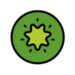 Kiwi Fruit SVG Icon